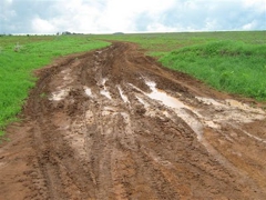 boggy road