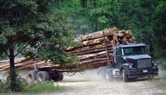 long log truck